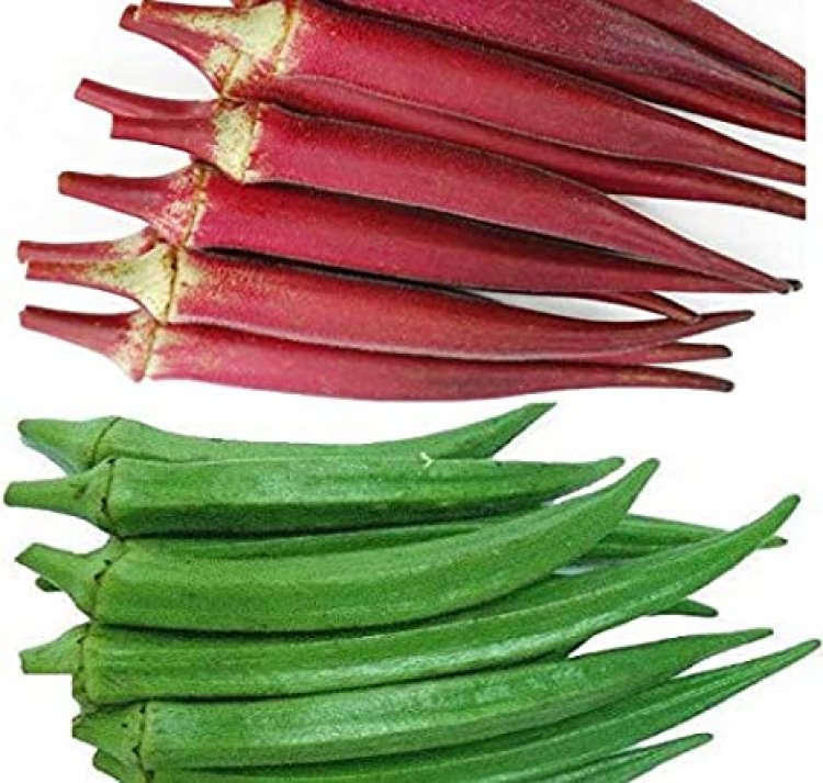 ଏପରି ସମସ୍ୟା ଥିଲେ ଭୁଲରେ ଖାଆନ୍ତୁ ନାହିଁ ଭେଣ୍ଡି