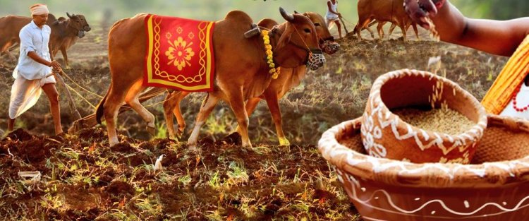 ଅକ୍ଷୟ ତୃତୀୟା, ଅଖିମୁଠି ଅନୁକୂଳ କରିବେ ଚାଷୀ