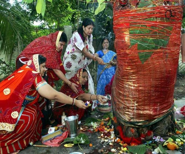 ସଧବା ନାରୀର ସାବିତ୍ରୀ ବ୍ରତ