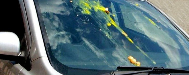 କୋରାପୁଟ ବିଧାୟକଙ୍କ ଗାଡ଼ିକୁ ଅଣ୍ଡାମାଡ଼