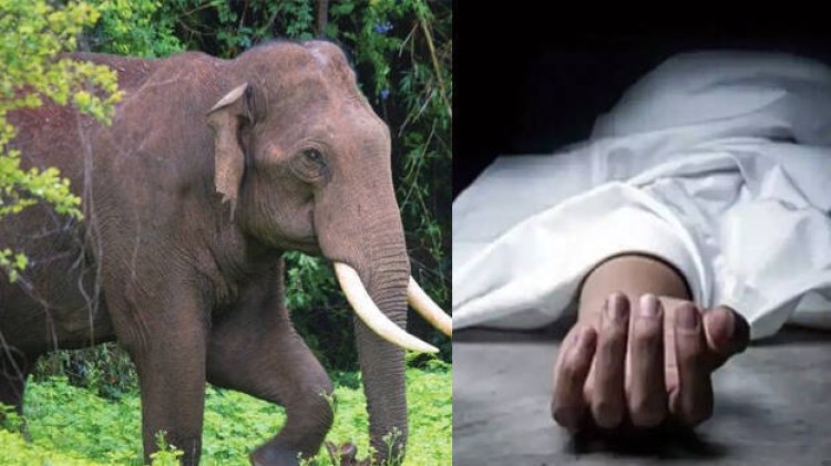 ପୁଣି ହାତୀ ଆକ୍ରମଣରେ ବୃଦ୍ଧ ମୃତ