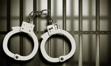ପକ୍ଷୀ ମାରି ଭିଡିଓ କରିଥିଲେ ଭାଇରାଲ୍‌, ତାପରେ