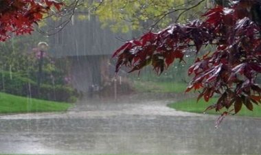 ୨୨ରେ ଓଡ଼ିଶା ଛୁଇଁବ ମୌସୁମୀ !