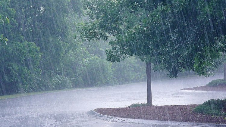 Heavy rainfall to pour in Bhubaneswar and Cuttack in 3 hours