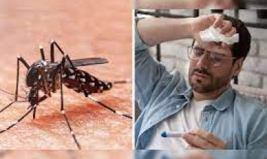 ଡେଙ୍ଗୁ ବ୍ୟାପିବା ନେଇ ଆସୁଛି ଚମକାଇ ଦେଲାଭଳି ତଥ୍ୟ