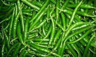 ରେକର୍ଡ ଛୁଇଁଛି କଞ୍ଚାଲଙ୍କା ଦର: କେଜି ୪୦୦ ଟଙ୍କା