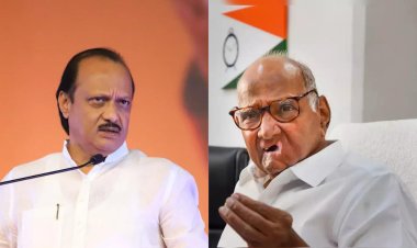 ବିଦ୍ରୋହର ୨ ଦିନ ପୂର୍ବରୁ ଜୁନ୍‌ ୩୦ ତାରିଖରେ ଅଜିତ ପାୱାର NCP ଦଳର ଅଧ୍ୟକ୍ଷ ନିର୍ବାଚିତ