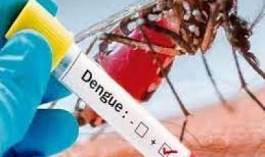 ରାଜଧାନୀରେ ଡେଙ୍ଗୁ : ପୁଣି ନୂଆ ୫ ରୋଗୀ ଚିହ୍ନଟ