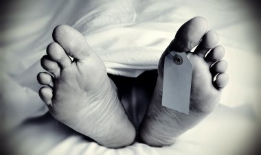 ଯୁବକଙ୍କ ଝୁଲନ୍ତା ମୃତଦେହ ଉଦ୍ଧାର