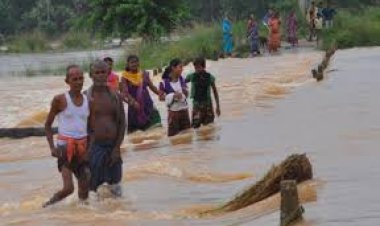 କେନାଲରେ ୩୦ ଫୁଟର ଘାଇ