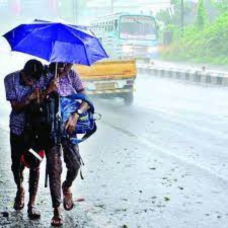 ବର୍ଷା : ୨୦ ଜିଲ୍ଲାକୁ ୟେଲୋ ୱାର୍ଣ୍ଣିଂ ଜାରି