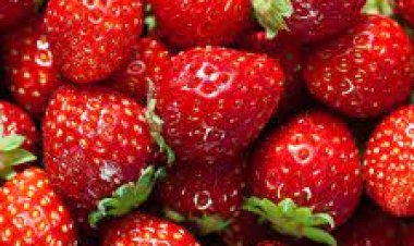 ଷ୍ଟ୍ରବେରି ଗୋଟା ୨୧ ହଜାର ଟଙ୍କା