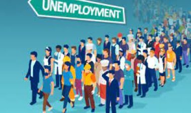 ସହରରେ ବଢ଼ିଲା ,ଗାଁରେ କମିଲା ବେକାରି