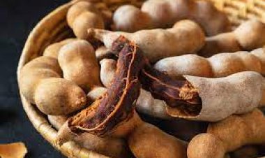 ସ୍ୱାସ୍ଥ୍ୟ ଲାଭକାରୀ ତେନ୍ତୁଳି