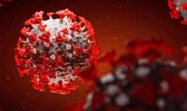 କରୋନାର ନୂଆ ଭାରିଆଣ୍ଟ, ସତର୍କ ରହିବାକୁ କେନ୍ଦ୍ରର ପରାମର୍ଶ