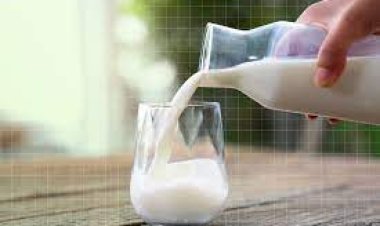 କ୍ଷୀର ସହ ଖାଆନ୍ତୁନି ଏହି ସବୁ ଜିନିଷ, ସ୍ୱାସ୍ଥ୍ୟ ପାଇଁ ହୋଇପାରେ ହାନିକାରକ