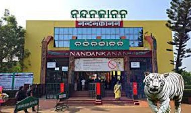 ଖୁବ୍‌ଶୀଘ୍ର ରାତିରେ ବି ଖୋଲିବ ନନ୍ଦନକାନନ