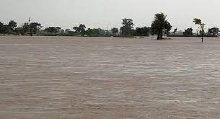 ବିପଦ ସଂକେତ ଉପରେ ବୈତରଣୀ