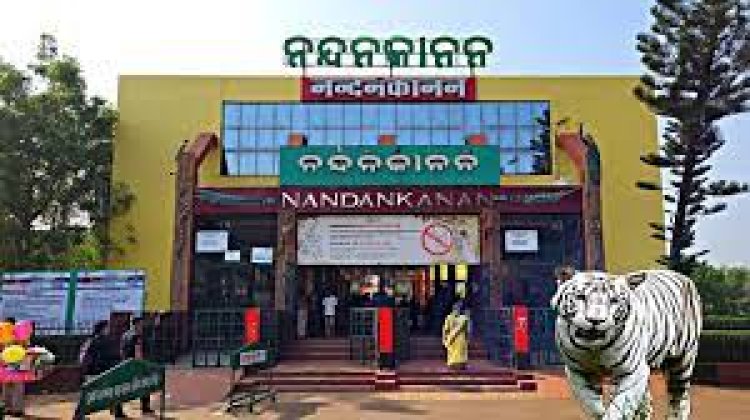 ନନ୍ଦନକାନନ ପାଇଁ ଦୁଃଖର