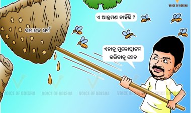 ଏ ଆକ୍ରମଣ କାହିଁକି ?