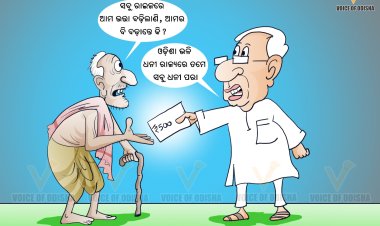 ବଢ଼ିବନି ବାର୍ଦ୍ଧକ୍ୟ ଓ ବିଧବା ଭତ୍ତା