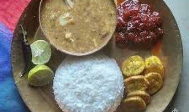 ହବିଷ ଡାଲମାର ଆର୍ୟୁବେଦୀୟ ଗୁଣ