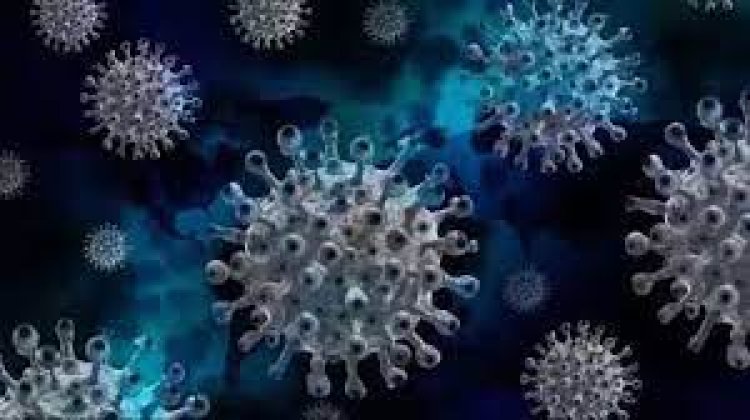 ଦେଶରେ କୋଭିଡ୍‌-୧୯ ସଂକ୍ରମଣ;୨୪ ଘଣ୍ଟାରେ ୪,୦୫୪ ସକ୍ରିୟ ମାମଲା