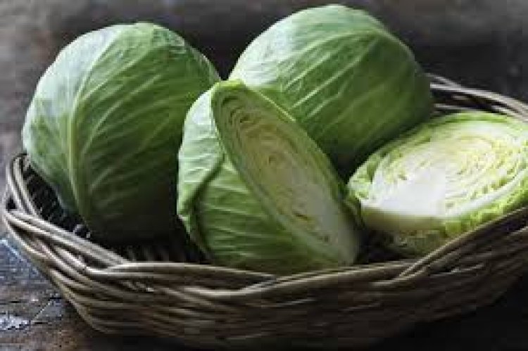 ଶରୀର ପାଇଁ ଅତି ହିତକର ‘ବନ୍ଧାକୋବି’