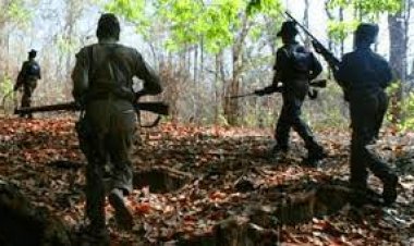 ଜଙ୍ଗଲରେ ମାଓ କ୍ୟାମ୍ପ ଧ୍ୱଂସ