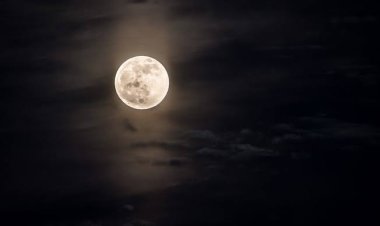 ଅମାବାସ୍ୟାରେ ଏସବୁ ମନା
