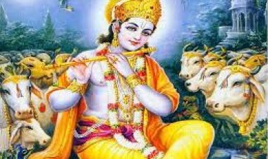 ନାଭିକଟା ମଣ୍ଡପରେ କଟାଯାଏ ଶ୍ରୀକୃଷ୍ଣଙ୍କ ନାଭି