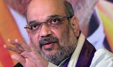 ମେଣ୍ଟ ନିଷ୍ପତ୍ତି ଏଯାଏଁ ହୋଇନି: ଶାହ