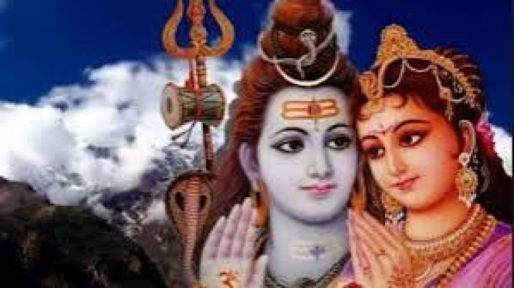ମହାଶିବରାତ୍ରୀରେ ଆଣନ୍ତୁ ଏହି ୪ଟି ଗଛ ; ସୁଖସମୃଦ୍ଧି ସହ ହେବ ଧନବର୍ଷା