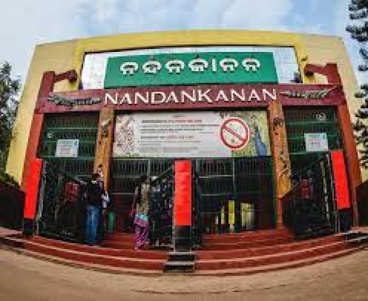 ଏଣିକି ରାତିରେ ବି ବୁଲିପାରିବେ ନନ୍ଦନକାନନ