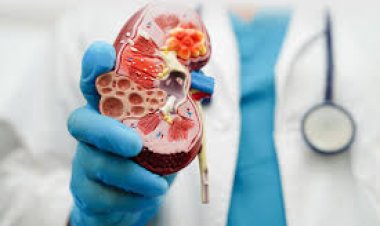 ହେୟାର ଷ୍ଟ୍ରେଟନିଂ କଲେ ହେଉଛି କିଡନୀ ରୋଗ