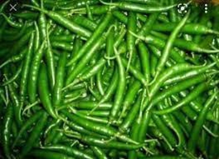 ଚିନ୍ତା ଦୂର କରେ କଞ୍ଚା ଲଙ୍କା