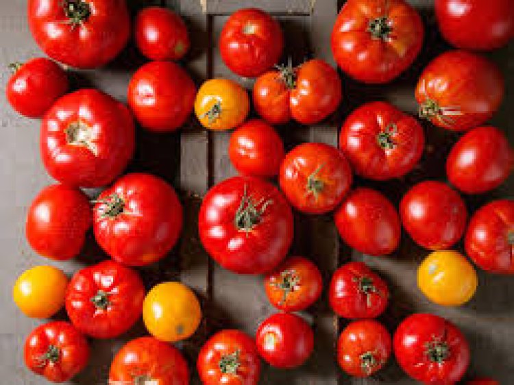 ଖରାଦିନେ କେଉଁ ଖାଦ୍ୟ ଖାଇଲେ ଶରୀରକୁ ଶକ୍ତି ଆସିଥାଏ ଜାଣନ୍ତୁ