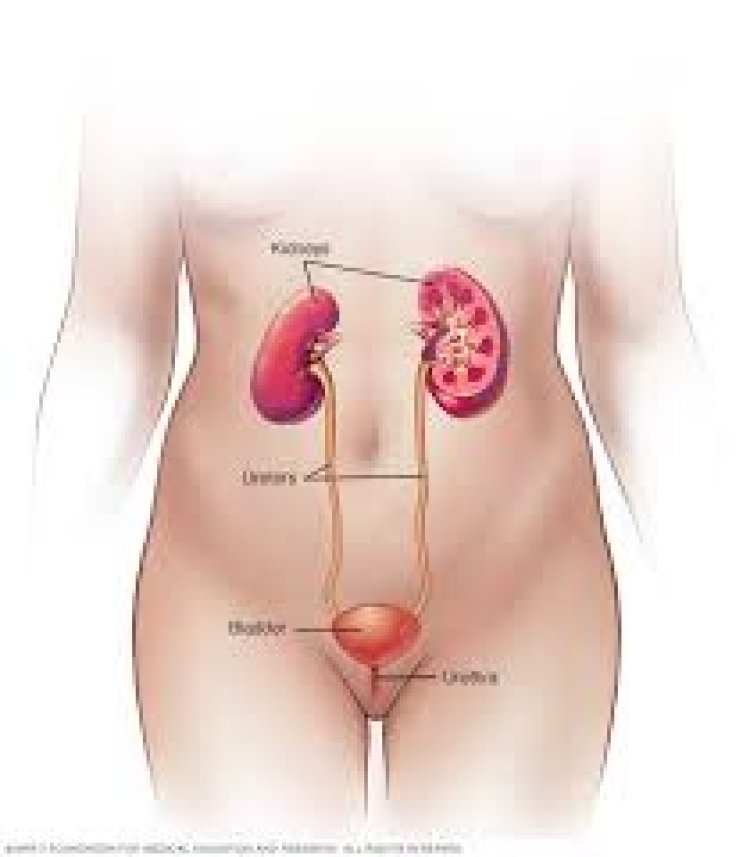 ଏପରି ପାଆନ୍ତୁ ପରିସ୍ରା ପୋଡ଼ା ରୋଗରୁ ମୁକ୍ତି