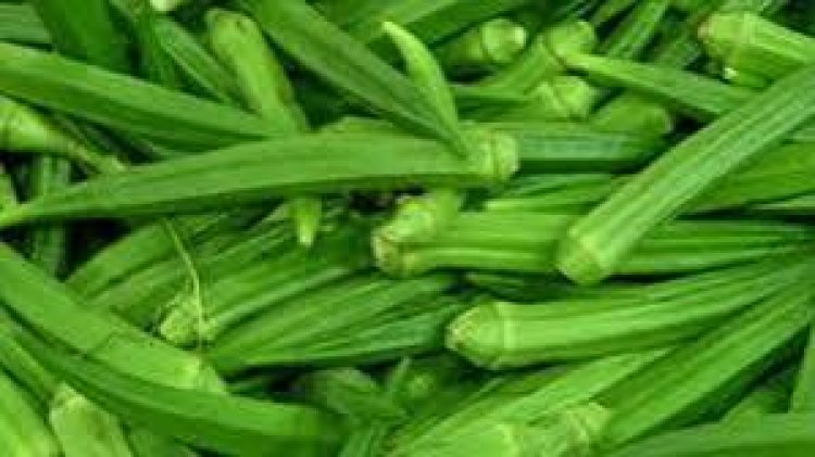 ଭେଣ୍ଡି ନିୟମିତ ଖାଇବା ଦ୍ୱାରା କଣ ନିଳେ ଫାଇଦା, ଜାଣନ୍ତୁ