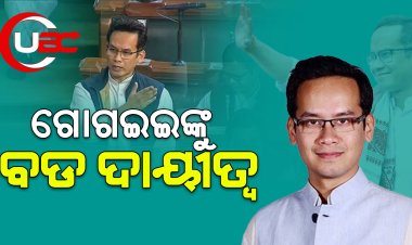 ଗୋଗଇଇଙ୍କୁ ବଡ ଦାୟୀତ୍ବ