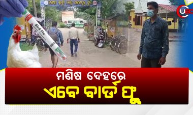 ବାର୍ଡ ଫ୍ଲୁ ମଣିଷ ଶରୀରରେ ପ୍ରବେଶ