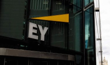 Mother writes letter following death of 26-year-old daughter due to ‘work stress’, urges EY chairman to address toxic work culture