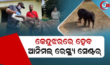 ହାତୀ ସହ ଅନ୍ୟ ଅସହାୟ ଜୀବଯନ୍ତୁଙ୍କୁ ଉଦ୍ଧାର କରି ଏଠାରେ ଚିକିତ୍ସା କରାଯିବ