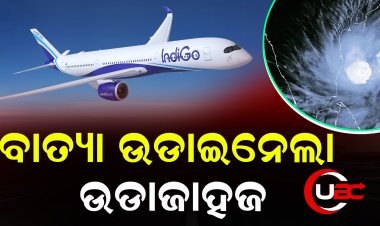 ପାଇଲଟ ନିଜ ଅଭିଜ୍ଞତା ଓ କୌଶଳ ଲଗାଇ ବଞ୍ଚାଇ ଦେଲେ ଶହେରୁ ଅଧକ ଜୀବନ. ଭିଡିଓ ଭାଇରାଲ୍