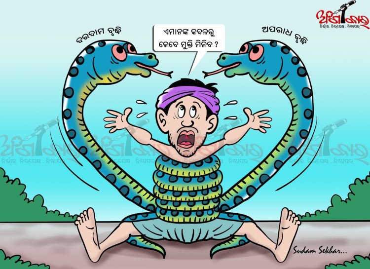 ଅପରାଧ ବୃଦ୍ଧି